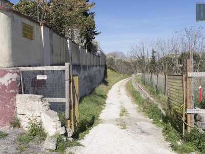 Sulla destra si apre un sentiero che decidiamo di intraprendere